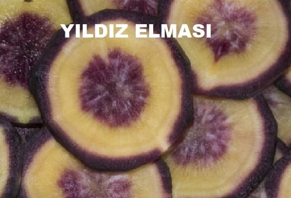 yildiz-elmasi