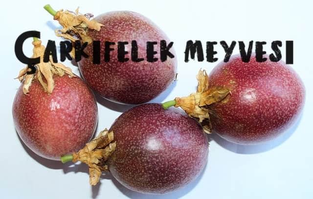 Çarkıfelek meyvesi