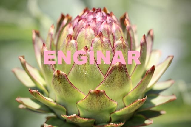 Enginar