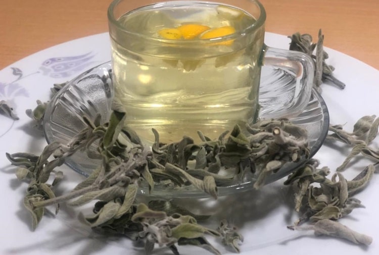 ADA ÇAYI